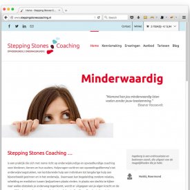 Stepping Stones Coaching